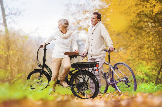 E-Faltrad F2 Farmers Folding