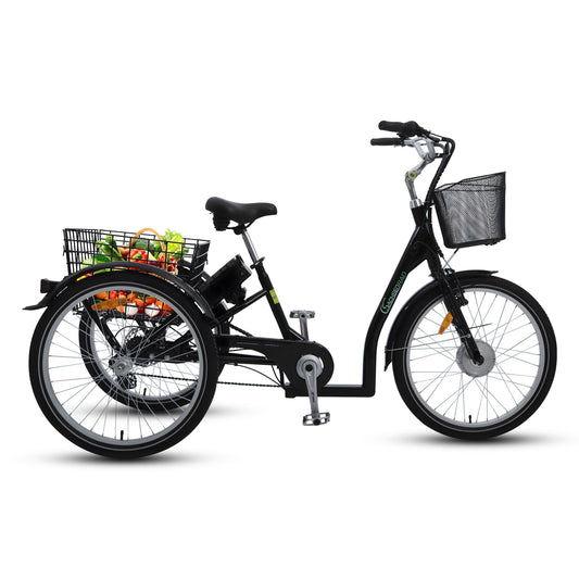 T3A Trio Edition 2024 mit Alarmanlage