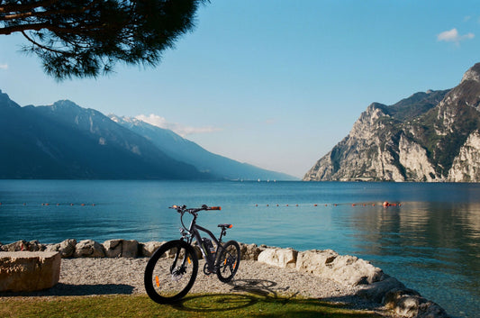 E-Racing Mountain Bike R6 500Wh