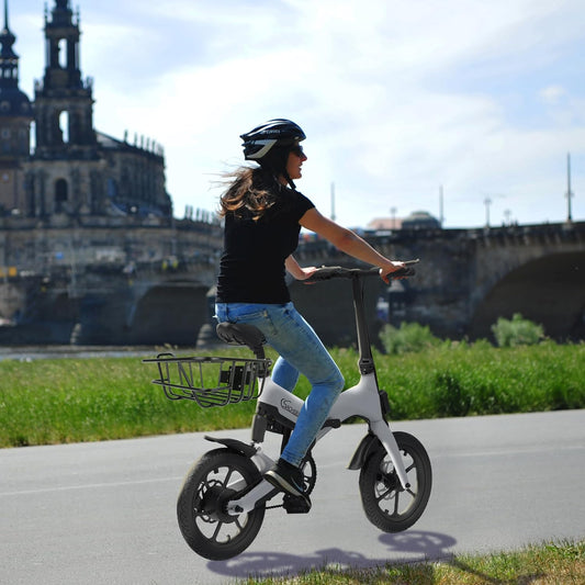 Fahrradkorb F Pro für SachsenRAD F11 F12