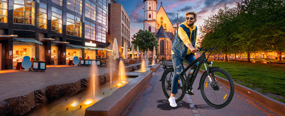 Gepäckträger-Korb für C5 C5R S8 C3T