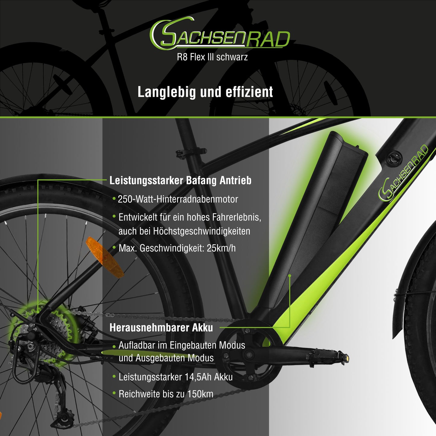 [Gebraucht] E-Racing Mountainbike R8 Flex III