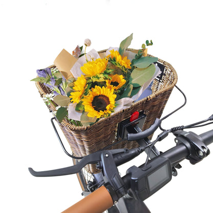 Lenkerkorb mit Tragegriff