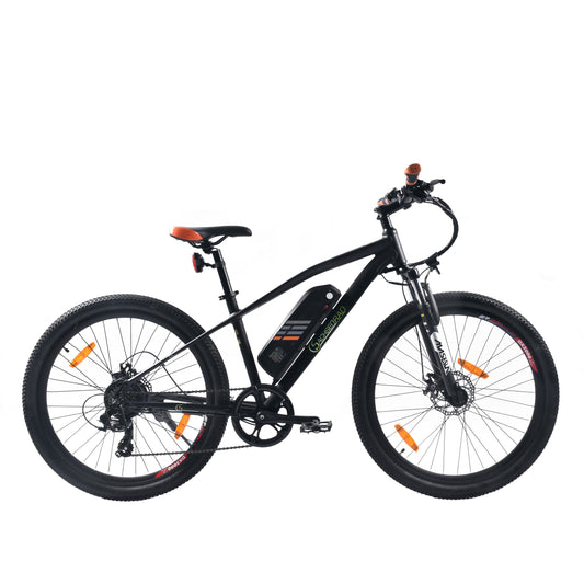 E-Racing Bike R6 400Wh, 26 inch