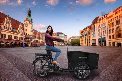 [Gebraucht] T1 Grand Trunk