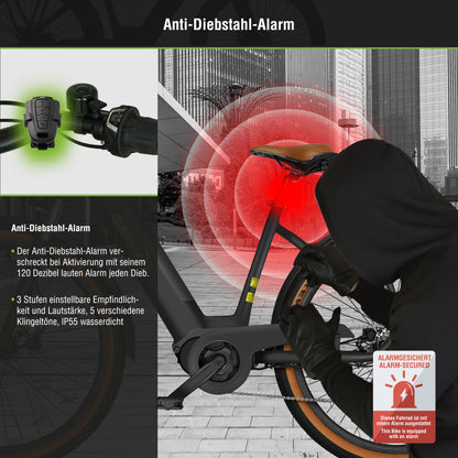 E-SUV CityBike C5 Centro with anti-theft device 