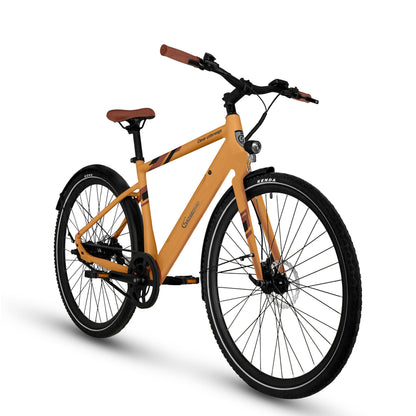 Urban Trekking E-Bike C3T