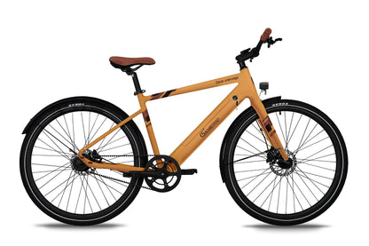 Urban Trekking E-Bike C3T