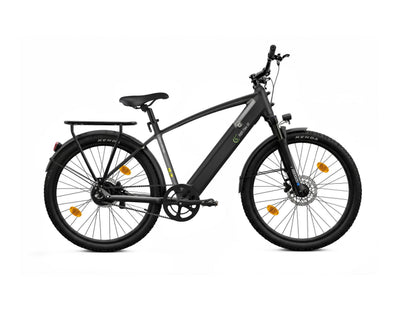 E-Trekking Mountainbike R8R Flex III mit Riemenantrieb
