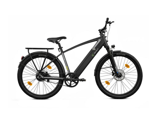 E-Trekking Mountainbike R8R Flex III  mit Riemenantrieb