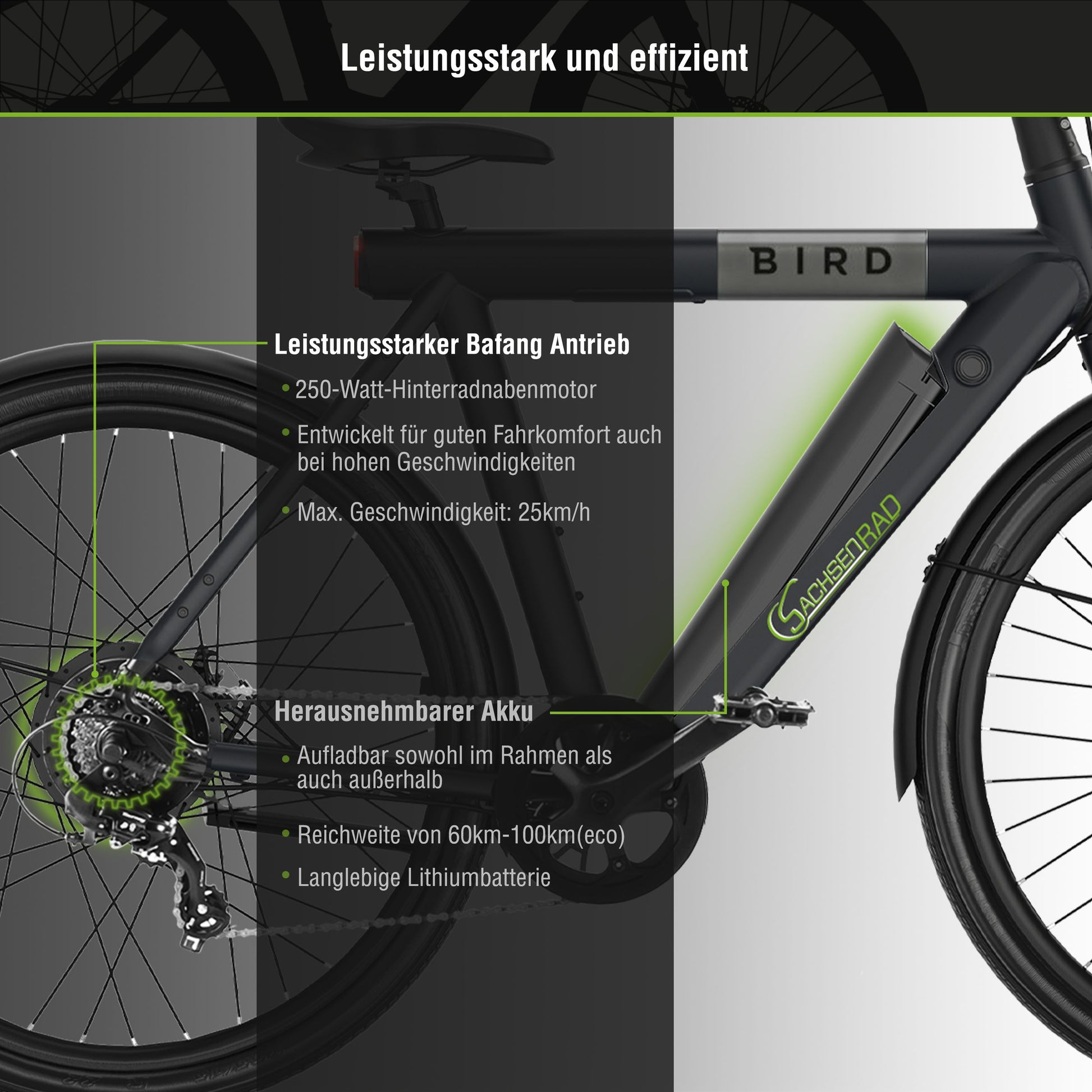 e bike mit display im rahmen SachsenRAD xBird E-CityBIKE C6M Connect günstiges E-Bike
