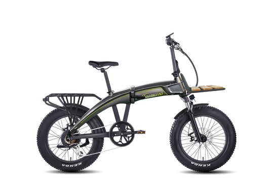 E-Faltrad F6L Edition RB