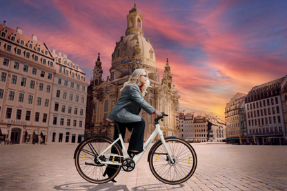 [Gebraucht] Urban City E-Bike C3V Roma