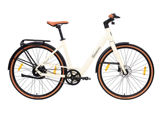 [Gebraucht] Urban City E-Bike C3V Roma
