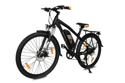 [Gebraucht] E-Racing Mountainbike R6T Neo
