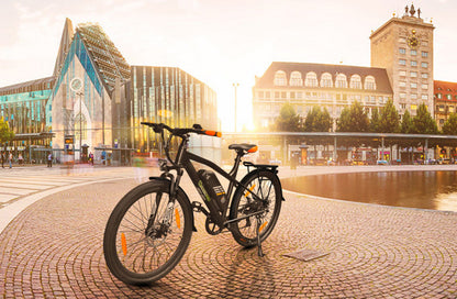 [Gebraucht] E-Racing Mountainbike R6T Neo