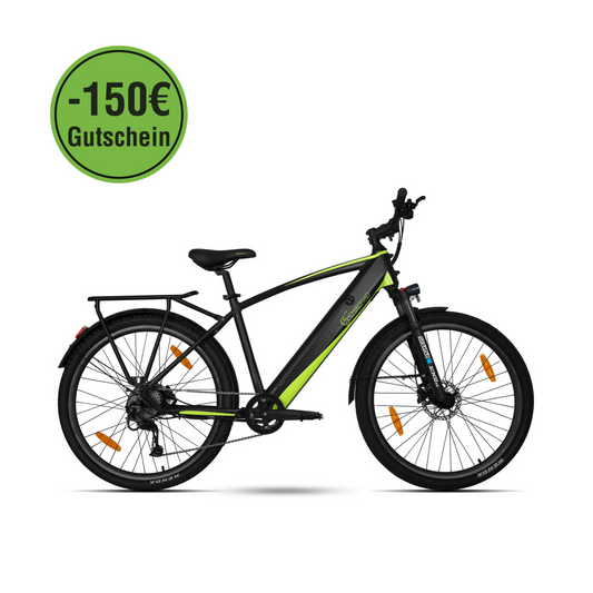 E-Trekking  R8T Flex III mit Gepäckträger