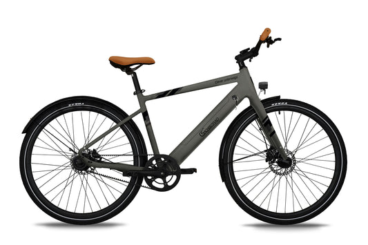 [Gebraucht] Urban Trekking E-Bike C3T
