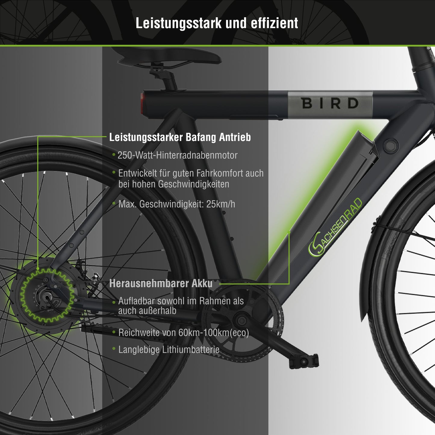 [Gebraucht] xBird C6R Connect Urban E-City-Bike – mit Riemenantrieb