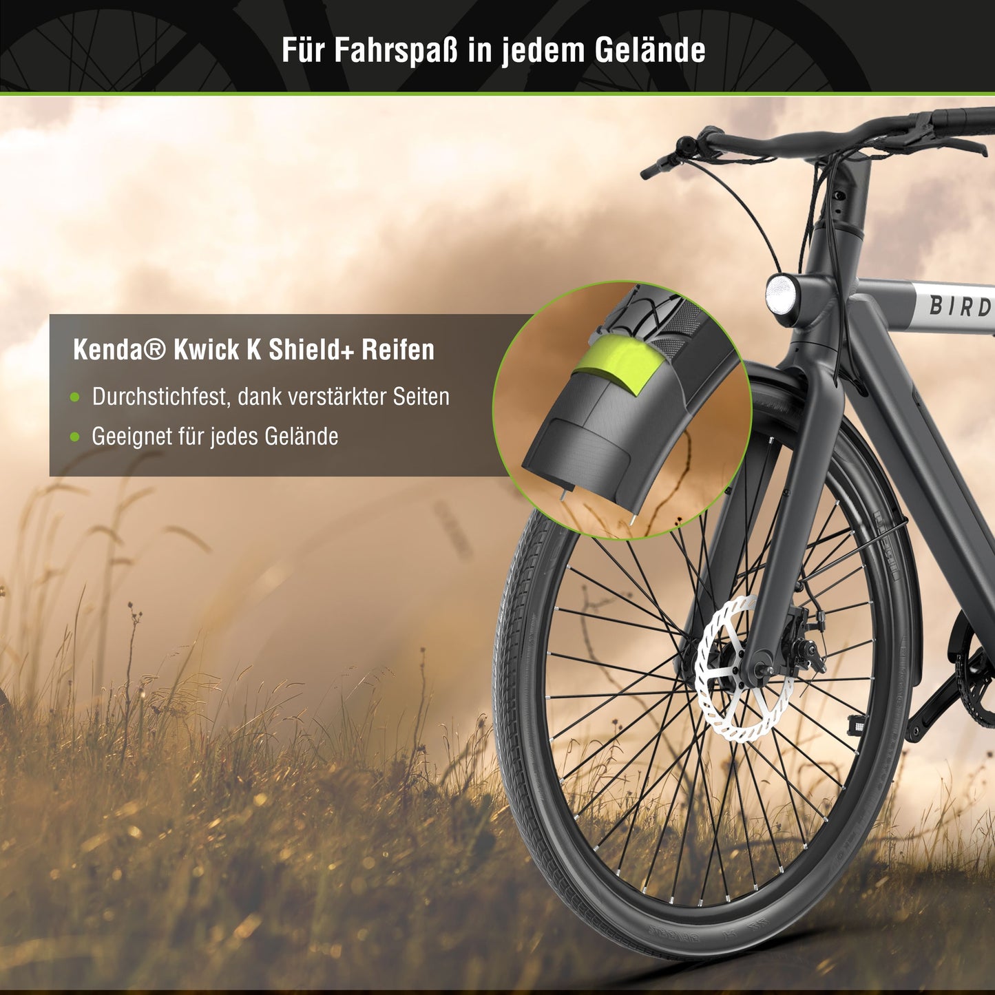 [Gebraucht] xBird C6R Connect Urban E-City-Bike – mit Riemenantrieb