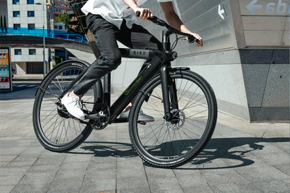 [Gebraucht] xBird C6R Connect Urban E-City-Bike – mit Riemenantrieb