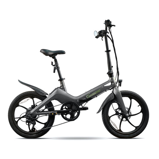 [Gebraucht] E-Faltrad F11 Pro MagPuma mit Transporttasche und Rückspiegel