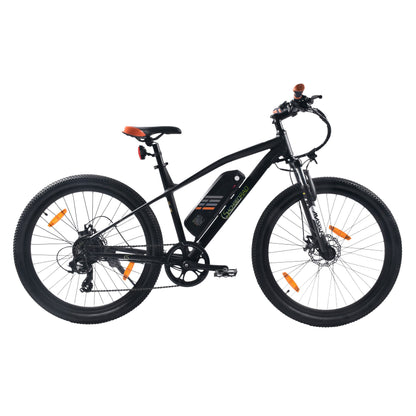 [Gebraucht] E-Racing Mountainbike R6 500Wh