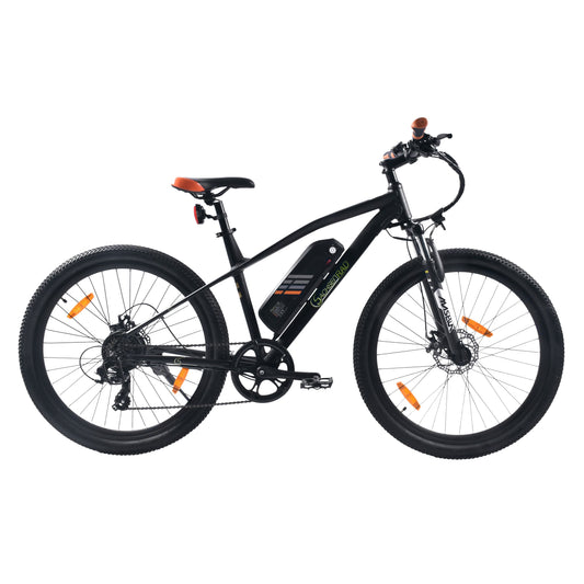 [Gebraucht] E-Racing Mountainbike R6 500Wh