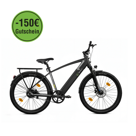 E-Trekking-Bike R8R Flex III mit Gepäckträger