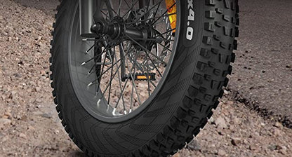 E-Faltrad F6L Edition RB