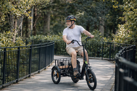 [Gebraucht] E-Lastenrad  T6S Comfort Air, faltbar