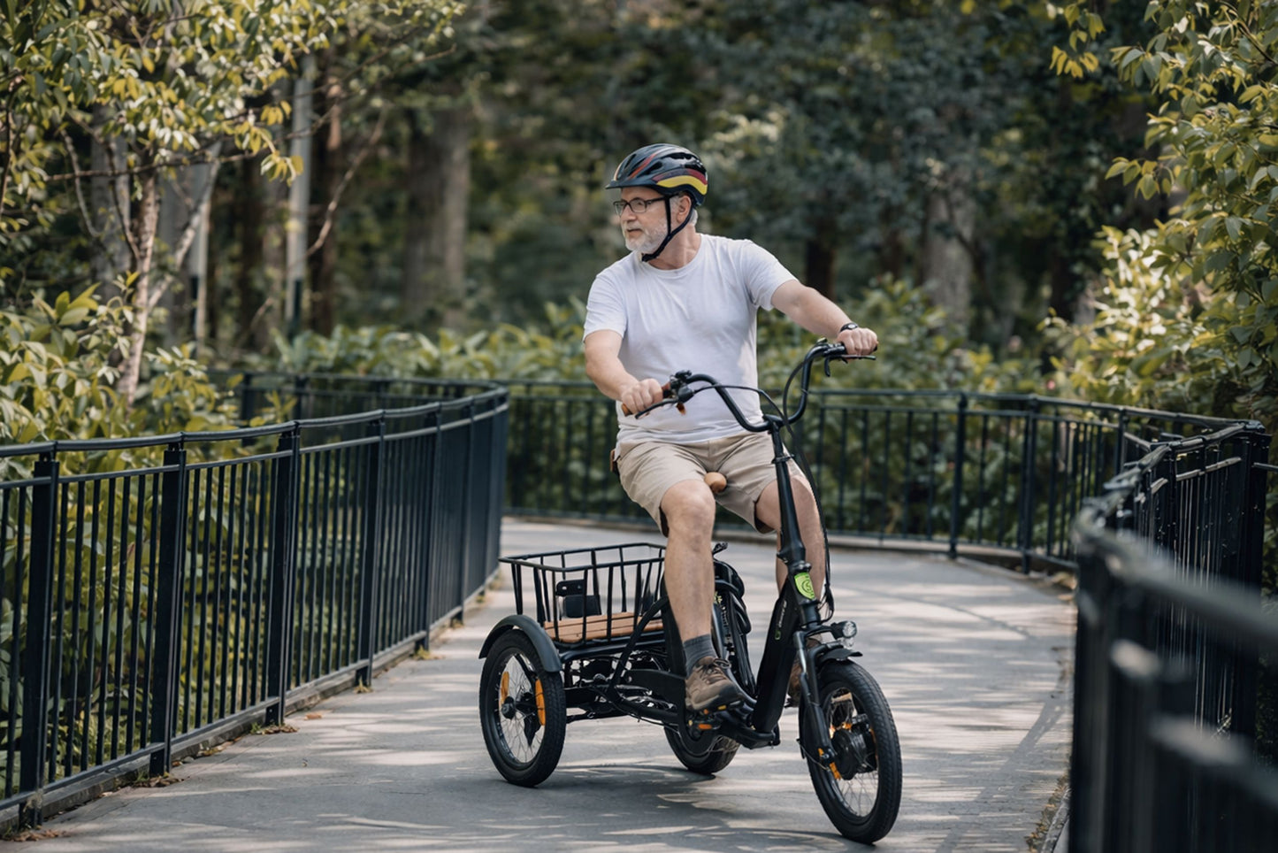 [Gebraucht] E-Lastenrad  T6S Comfort Air, faltbar